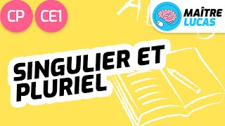 Le singulier et le pluriel CP  CE1  Cycle 2  Français  étude de la langue Lecture [upl. by Delgado]