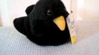 Blackbird  wwwTidyToyscouk  Soft Toy with sound  79559  RSPB Birds  Series 1 [upl. by Nomyad]