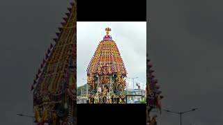 Srivari Radhostavam Tirumala Brahmotsavam tirumala tirumalahillsbrahmotsavam govinda [upl. by Nelram184]