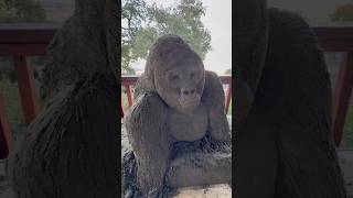 Harambe Memorial Sand Sculpture [upl. by Kristof]