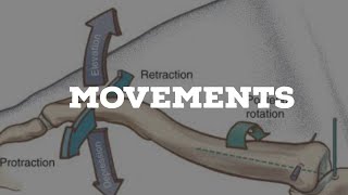 Movements of sternoclavicular joint [upl. by Kaspar]