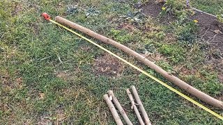 Black locust coppice  regenerative small diameter wood production [upl. by Yentnuoc]