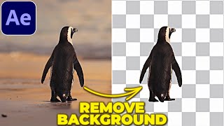 REMOVE BACKGROUND from VIDEO in After Effects  Rotobrush Tutorial [upl. by Ahsoek]