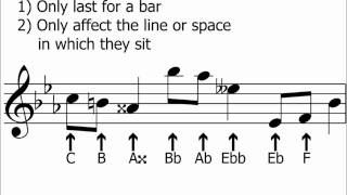 Accidentals amp Semitones halfsteps Explained  Music Theory [upl. by Namwob]