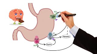 Pharmacology  GASTROINTESTINAL AND ANTIEMETIC DRUGS MADE EASY [upl. by East]