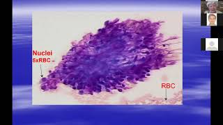 Introduction to Cytopathology [upl. by Le628]