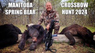 Spring Bear CROSSBOW Hunt in MANITOBA [upl. by Fionnula]