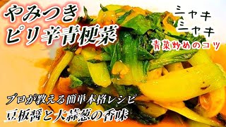 100万回再生された意外と知らないチンゲン菜の青菜炒め作り方！やみつき青梗菜人気副菜チンゲン菜レシピ健康野菜プロが教える切り方炒め方 [upl. by Ecertal]