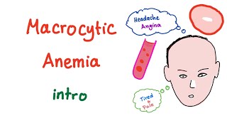 Macrocyctic Anemia Intro [upl. by Merritt307]