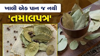 Tips ખાલી એક પાન જ નથી તમાલપત્ર એકવાર ફાયદા જાણશો તો દંગ રહી જશો [upl. by Lisha843]