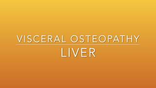 2 Visceral Osteopathy Liver [upl. by Candy47]