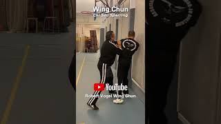 Wing Chun Chi Sau Sparring  Robert Vogel ipman wingchun [upl. by Alenas434]