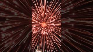 Amazing Great 12inch JAPAN GHOST displayed shell firework fireworksfestival 花火大会 pyro 花火 [upl. by Ahtel291]