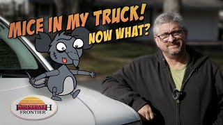 Tips and products to keep mice out of your stored vehicles and RVs [upl. by Nessaj]