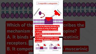 Which of the following describes the mechanism of action of atropine [upl. by Carole917]