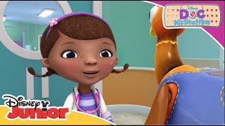 Top 7 operațiuni de salvare ale Doctoriței Plușica  Disney Junior România [upl. by Ariam]