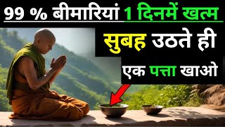 ये 1 पत्ता आपकी 90 बिमारियाँ ठीक करेगा  Buddhist Story To Betel Leaves Benefits [upl. by Rutherford]