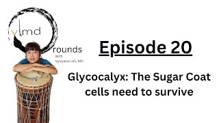 Glycocalyx The Sugar Coat cells need to survive  Episode 20 [upl. by Nnaylloh]