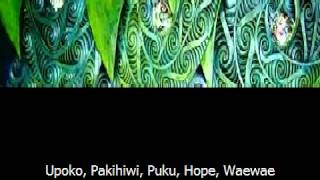 Waiata Tamariki  Te Tinana [upl. by Aelsel]