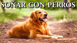 Qué Significa SOÑAR CON PERROS O UN PERRO El Significado De Los Sueños Interpretar Sueños [upl. by Anairad]