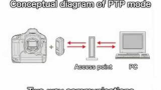 Canon EOS  Wireless File Transmitter PTP Mode [upl. by Lewanna]