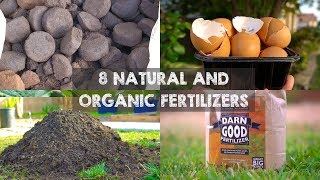 8 Natural and Organic Fertilizers to Grow Big Plants [upl. by Bedell]