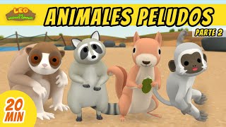 Animales Peludos Episodio Compilación Parte 25 Español  Leo El Explorador  Animación [upl. by Meador]