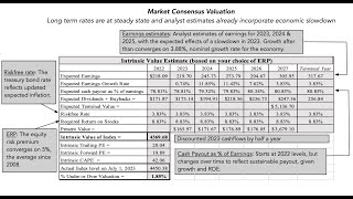 Investor Resilience or In Denial A Look Back at the First Half of 2023 [upl. by Einahpetse]