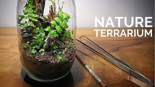 Making a closed nature terrarium  How to build an ecosystem inside a glass jar [upl. by Pat917]