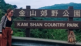 Kham Shan Country Park MONKEY HILL [upl. by Naus938]