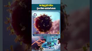 virus news china abola dailycurrentaffairs viral shorts reels inventions newsupdate [upl. by Dinny]