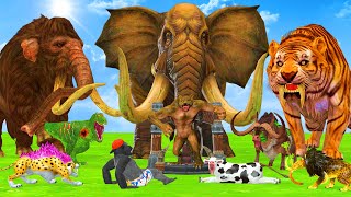 5 Mammoth Elephant Cow vs 5 Giant Wolf Tiger Zombies Cheetah Fight Cow Cartoon Baby Save By Mammoth [upl. by Haimaj]