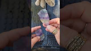 Cutting gem quality Fluorite Pleiades Mine Nevada thefinders crystals fluorite rockhound fyp [upl. by Zined]