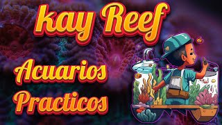 EL ACUARIO DE IKERPRACTICO Y FUNCIONAL KAY REEF [upl. by Pet]