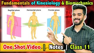 Fundamentals of Kinesiology and Biomechanics in Sports  Class 11  Unit  8  FREE Notes 🔥 [upl. by Justin]