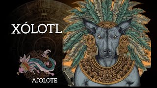 LA LEYENDA DEL AJOLOTE  DIOS XÓLOTL EL QUINTO SOL [upl. by Enyr689]