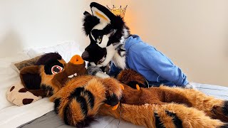 Furry ASMR Petting Hyena Boyfriend to Sleep [upl. by Gus]