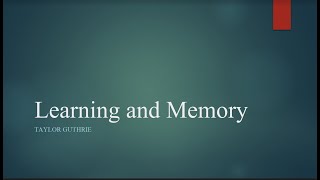 Learning and Memory [upl. by Lsil]