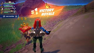 Fortnite 17 kill squad win with malibu amp dale amp leona no 142 of ch5 s4 crown 163 [upl. by Emmi]