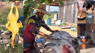 FERIADO NA FAZENDA TORRESMO FRANGO CAIPIRA LEITE… MUITA DIVERSÃO E FARTURA 🙏🏽 [upl. by Yntirb]