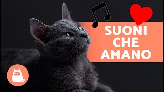 7 SUONI che AMANO I GATTI 🐱🔊  Suoni per ATTRARRE il tuo GATTO ✅ [upl. by Jemmie]