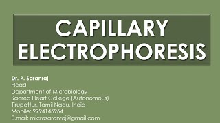 Capillary Electrophoresis CE [upl. by Atilahs512]