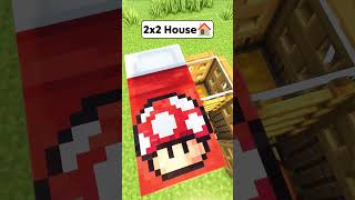 Minecraft Smallest Survival House🏠 Worlds Smallest Violin shorts minecraft [upl. by Tuppeny276]