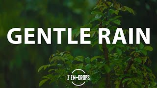 12 Hours Gentle Rain in the Forest for Deep and Relaxing Sleep  Rain sounds for sleeping [upl. by Rohn732]