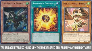 Lyrilusc Tri Brigade Deck  Insane Consistency Boost Post PHNI [upl. by Kerstin]