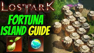 LOST ARK  FORTUNA ISLAND TOKEN Guide [upl. by Kevon]