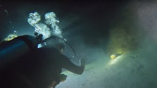 Encontramos Una Calavera HUMANA 💀 en un Cenote [upl. by Alansen]