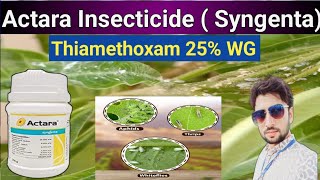 Actara Insecticide Syngenta  Thiamethoxam 25 WG  Systemic Insecticide [upl. by Anselmi594]