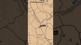 Madam Nazars Location For 112  RDR2 Online shortsshortsvideomadam nazar location rdr2 [upl. by Anilave]