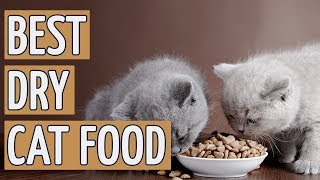 ⭐️ Best Dry Cat Food TOP 9 Dry Cat Foods of 2018 ⭐️ [upl. by Lagasse745]